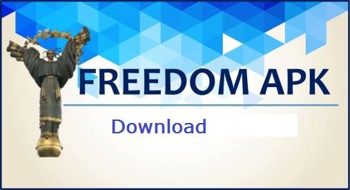 download freedom planet download freedom planet