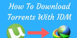 How To Download Torrents With IDM