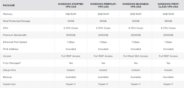 VPS Hosting in Temok