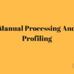 Customizable Regarding Manual Processing And Profiling
