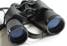 consult a detective service for background check