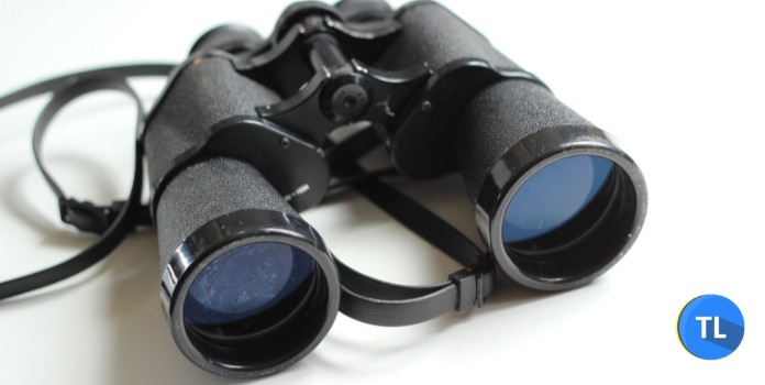 consult a detective service for background check consult a detective service for background check
