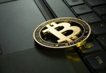 Why bitcoin is better investment than other coins