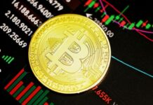 Arguments on investing in bitcoin